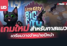 Little Kitty Big City