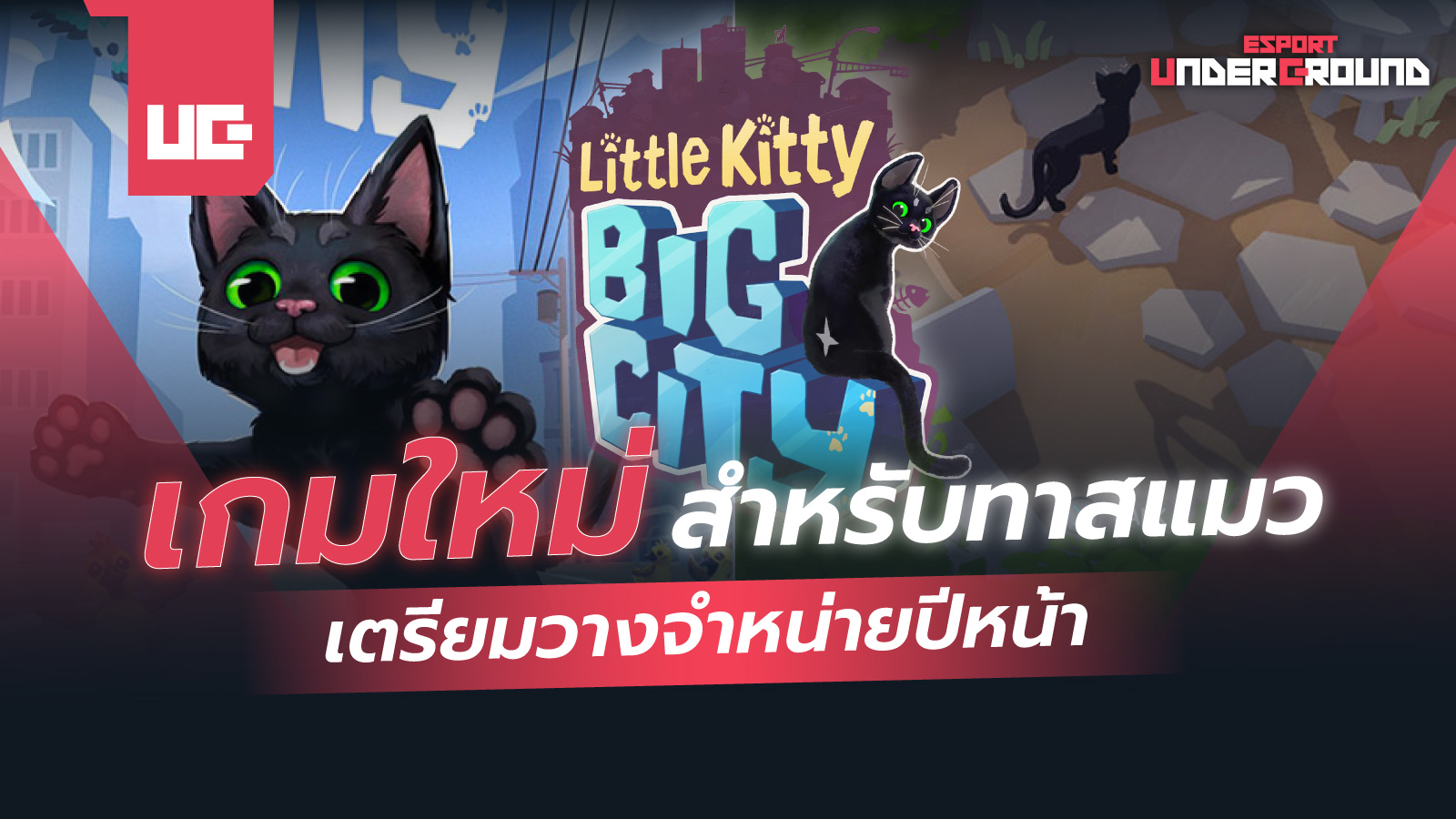Little Kitty, Big City เกมใหม่สำหรับทาสแมว เตรียมวางจำหน่ายปีหน้า